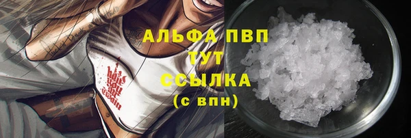 прущие крисы Абаза