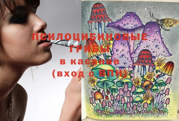 прущие крисы Абаза