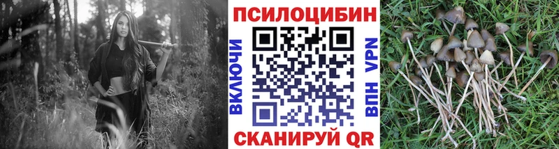 что такое   Белгород  гидра tor  Галлюциногенные грибы MAGIC MUSHROOMS 