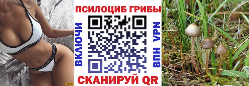 Псилоцибиновые грибы Cubensis Белгород